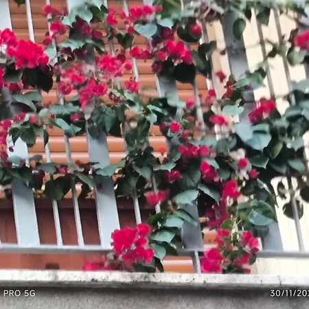Antico Risveglio Apartment